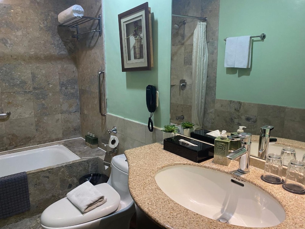 Makati Palace Hotel Main image